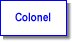 Colonel pedal boat